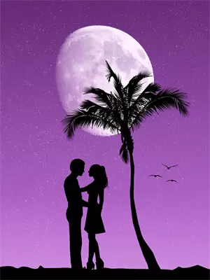沈姝的复仇剧情
