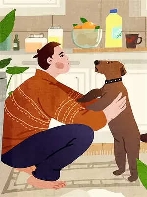 我再看你一眼是什么歌曲