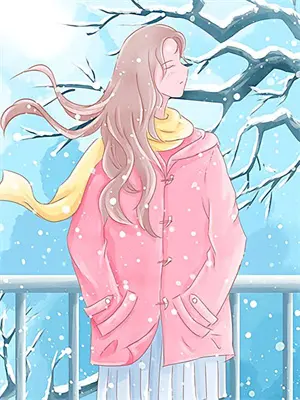 将军你夫人又失忆了